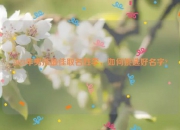 2023年男孩最佳取名姓李，如何挑选好名字?