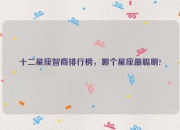 十二星座智商排行榜，哪个星座最聪明?