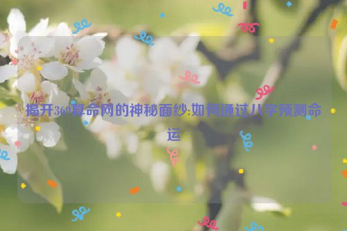 揭开369算命网的神秘面纱:如何通过八字预测命运