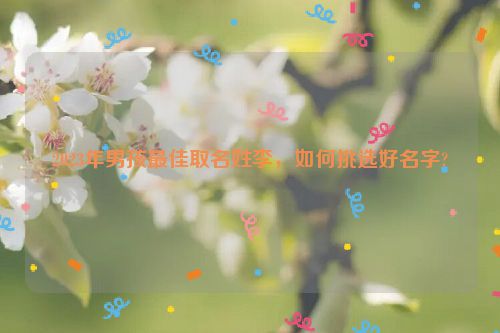 2023年男孩最佳取名姓李，如何挑选好名字?